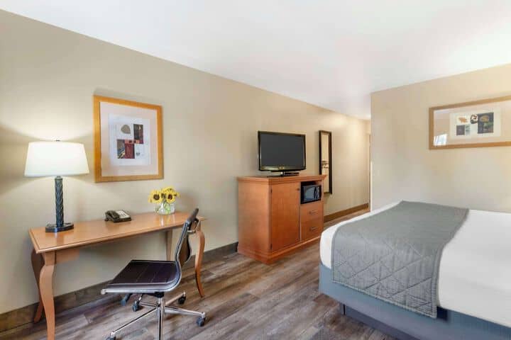 Room 15 of 28