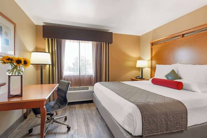 Room 10 of 28